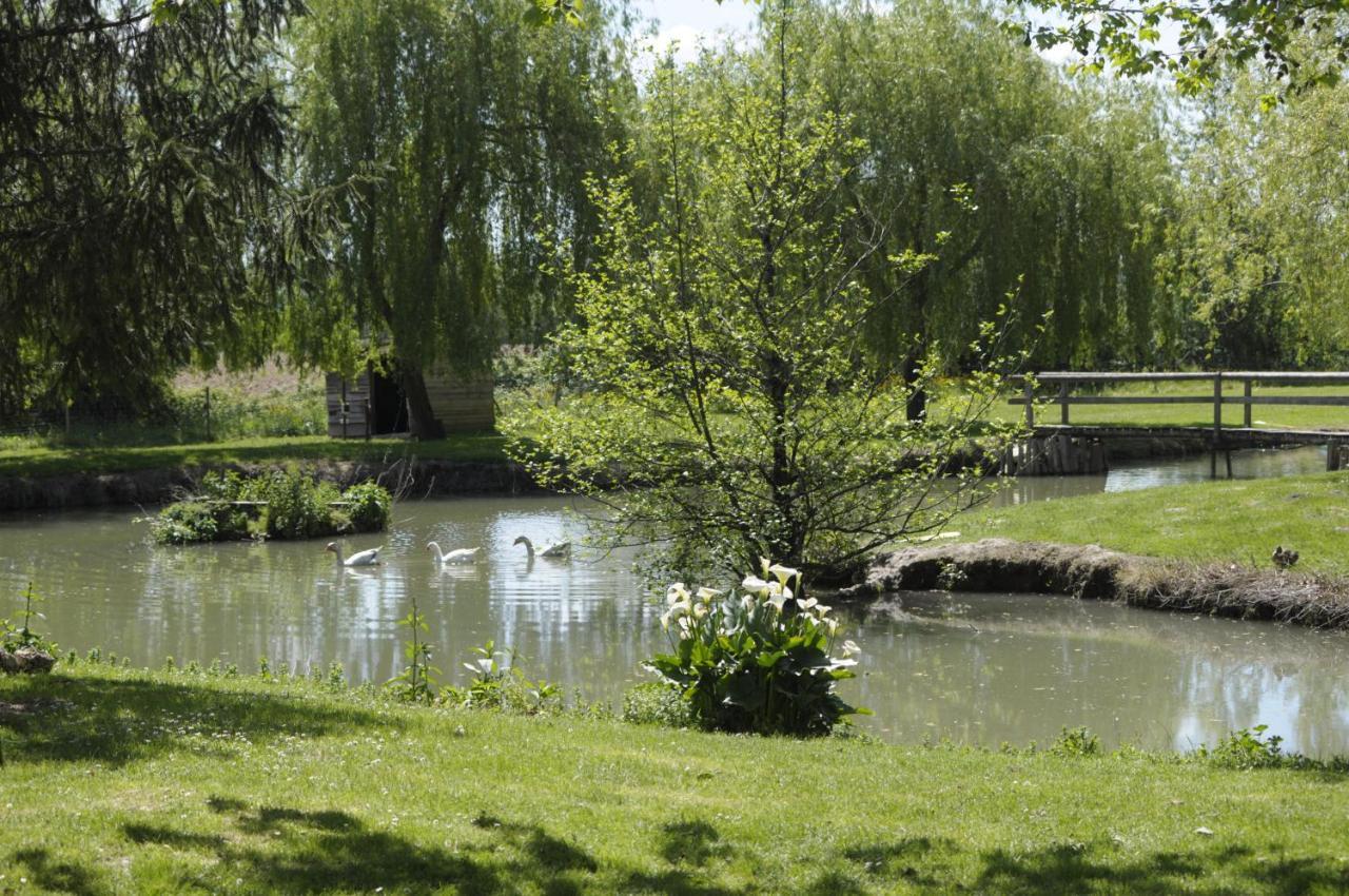 FongraveDomaine Ramonjavel, Glamping & Alpaca'S住宿加早餐旅馆 外观 照片