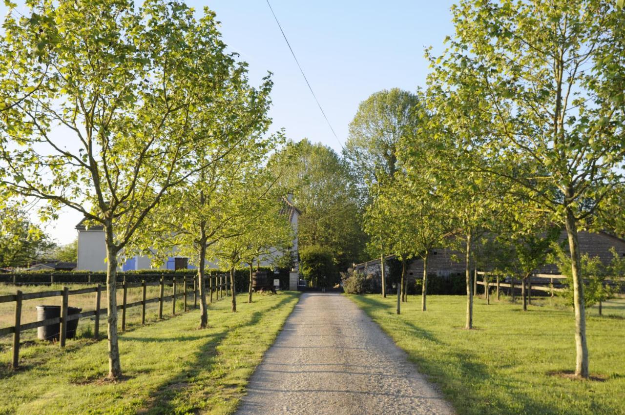 FongraveDomaine Ramonjavel, Glamping & Alpaca'S住宿加早餐旅馆 外观 照片