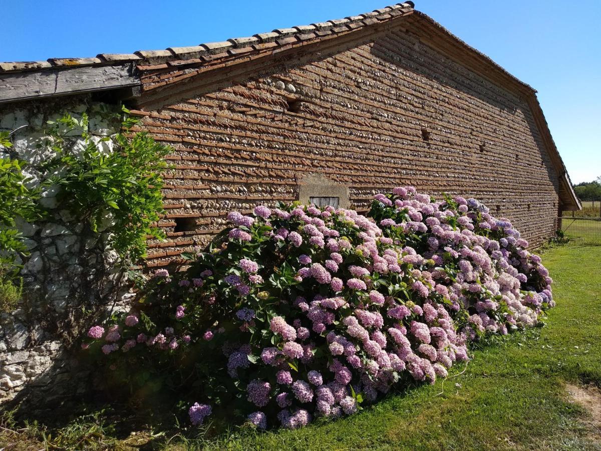 FongraveDomaine Ramonjavel, Glamping & Alpaca'S住宿加早餐旅馆 外观 照片