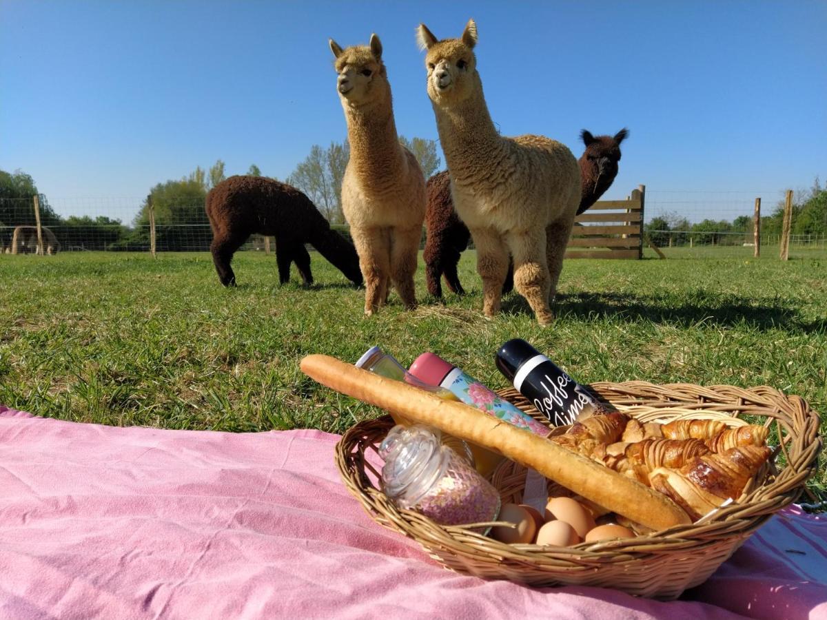 FongraveDomaine Ramonjavel, Glamping & Alpaca'S住宿加早餐旅馆 外观 照片