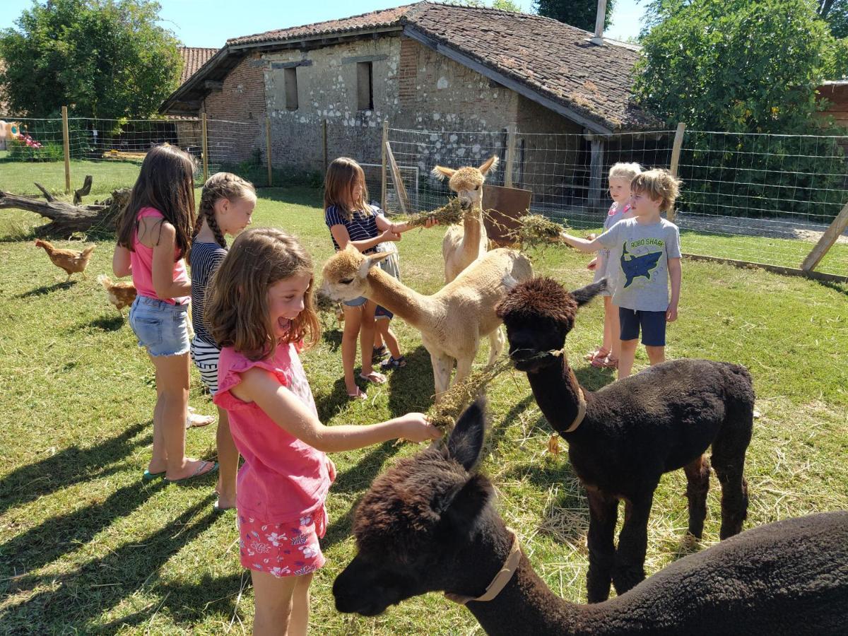 FongraveDomaine Ramonjavel, Glamping & Alpaca'S住宿加早餐旅馆 外观 照片
