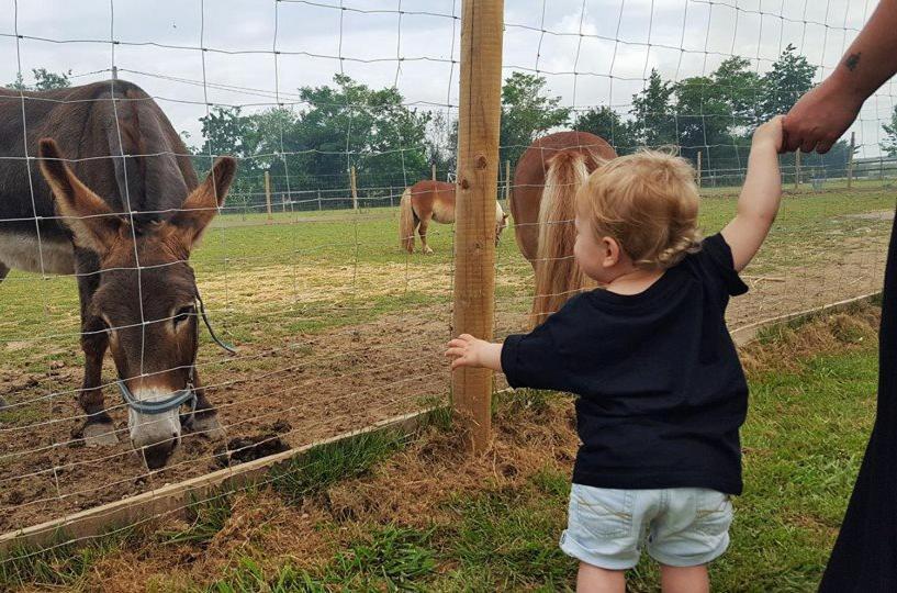 FongraveDomaine Ramonjavel, Glamping & Alpaca'S住宿加早餐旅馆 外观 照片